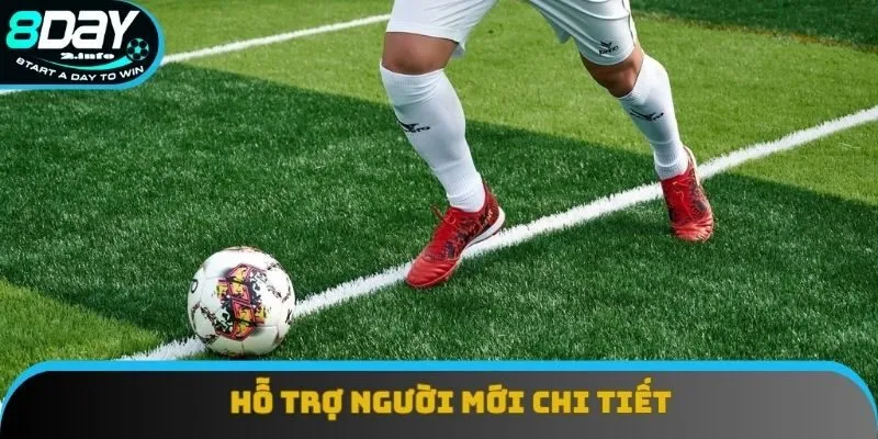 Hỗ trợ người mới chi tiết Hỗ trợ người mới chi tiết